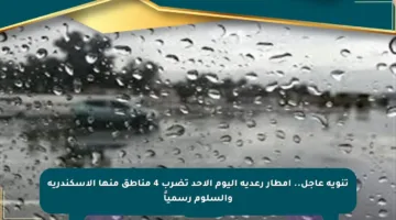 تنويه عاجل.. أمطار رعدية اليوم الأحد تضرب 4 مناطق منها الإسكندرية والسلوم رسمياً
